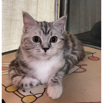 珊珊